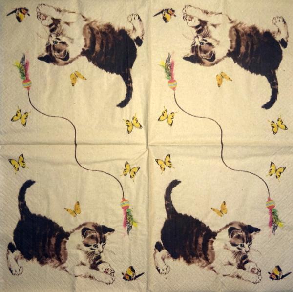 KAT-374 Katzen - 3-lagig - Paw